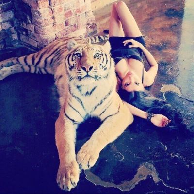 АлинаТранс, Сочи